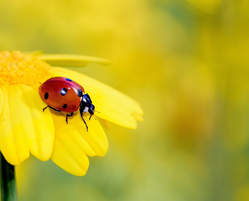 transform HR and H&S